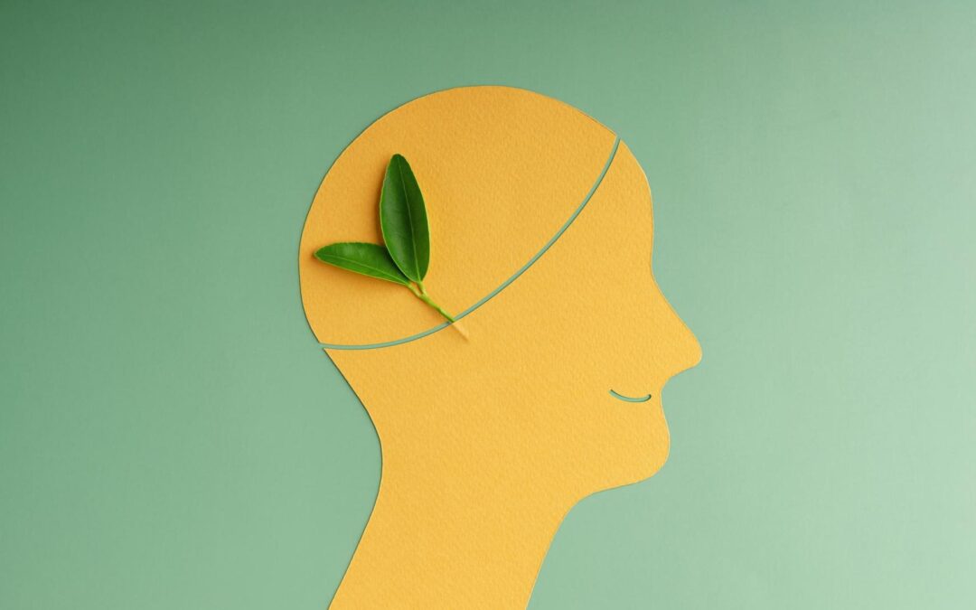 מצבי חרדה משבר נפשי וחזרה לתפקוד מלא